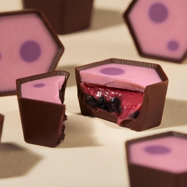 Triple Blackcurrant Chocolate Selector