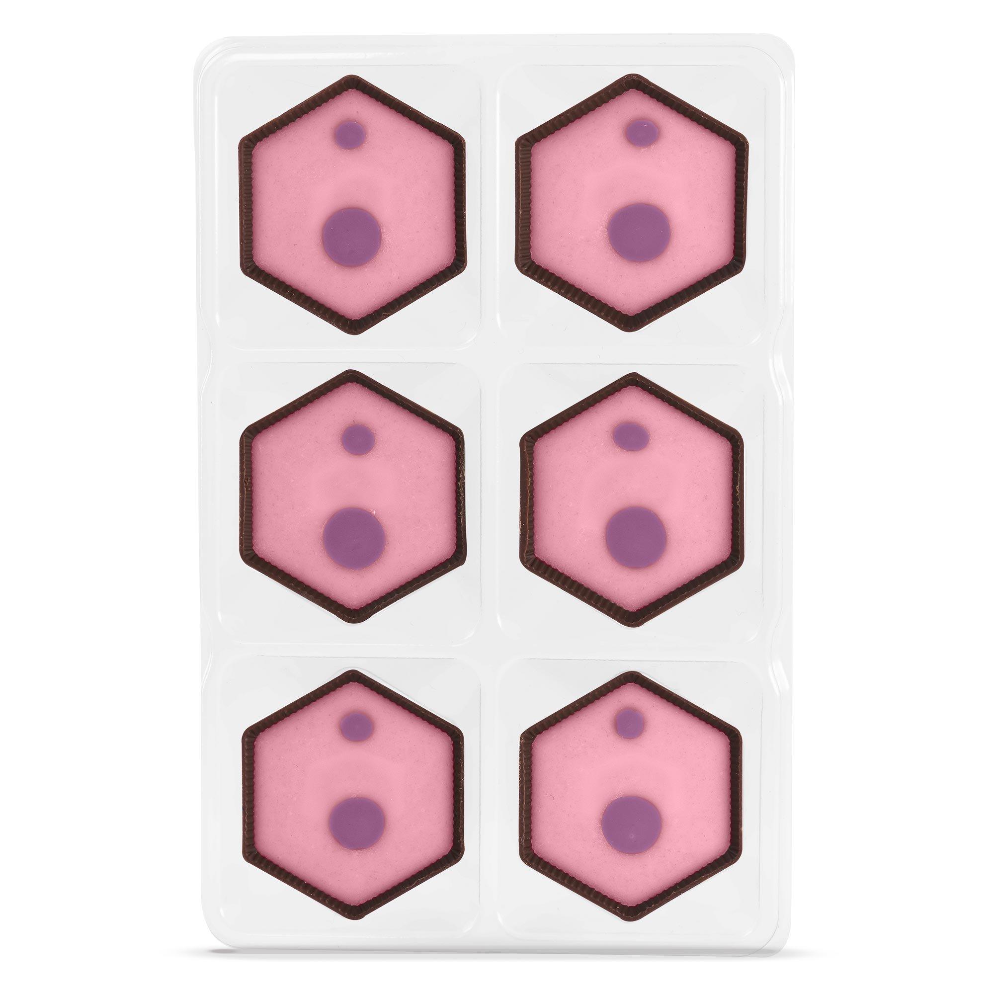 Triple Blackcurrant Chocolate Selector
