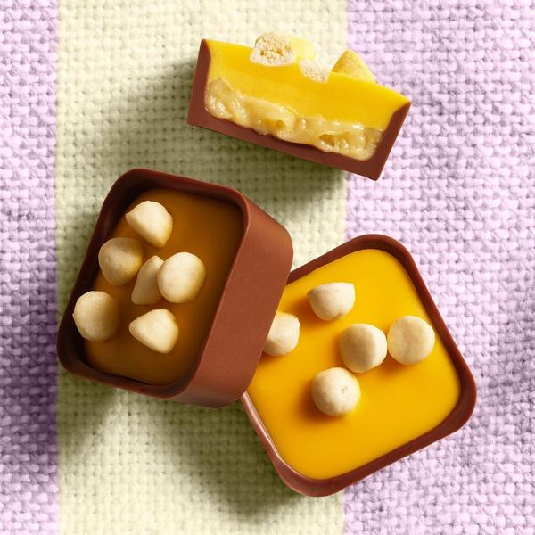 Passion Fruit Cheesecake Selector – Limited Edition