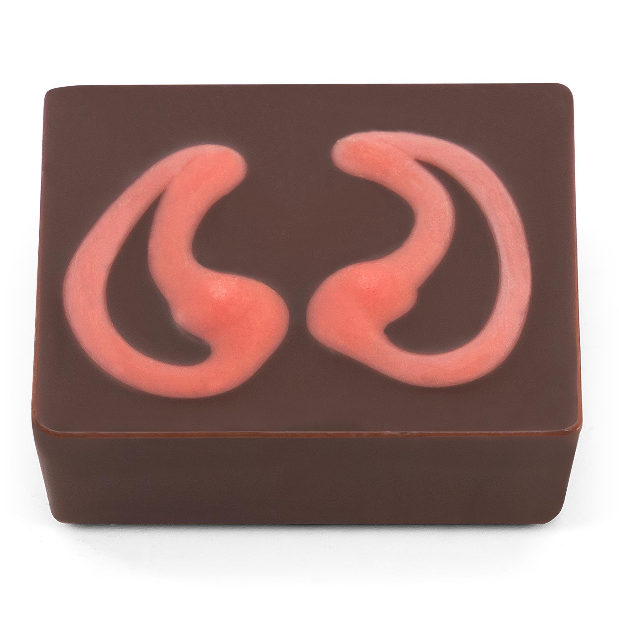Fire & Ice Chocolate Selector
