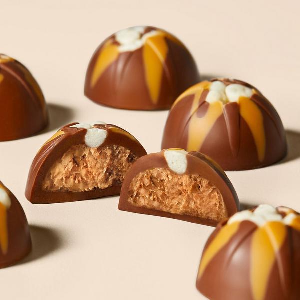 Billionaire Shortbread Chocolate Selector
