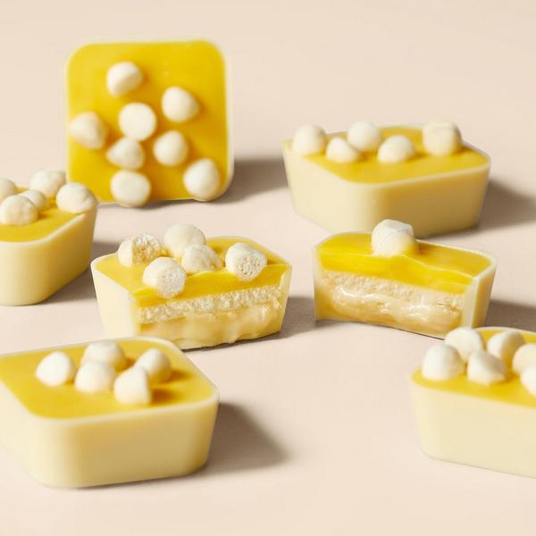 Lemon Chocolate Cheesecake Selector