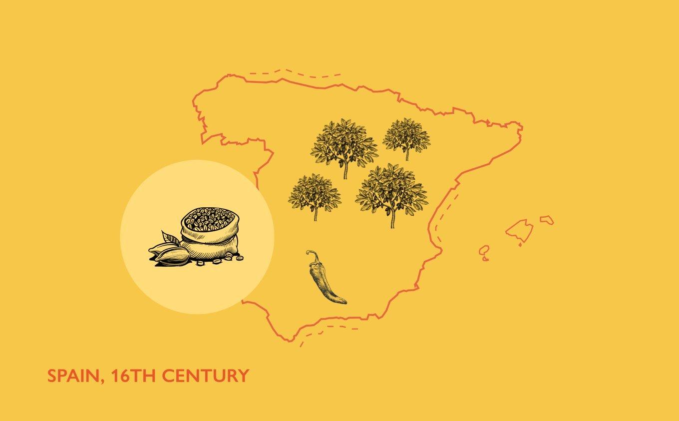 Chocolate-history-illustration-yellow