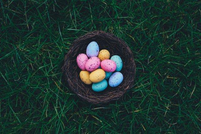 Colourful-eggs-in-a-nest