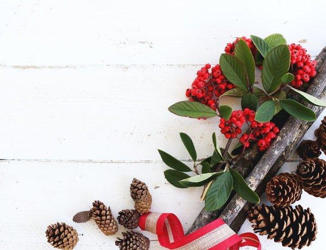Holly-pine-cones-and-ribbon