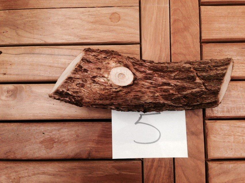 Real-log-chosen-to-scan-USE-THIS