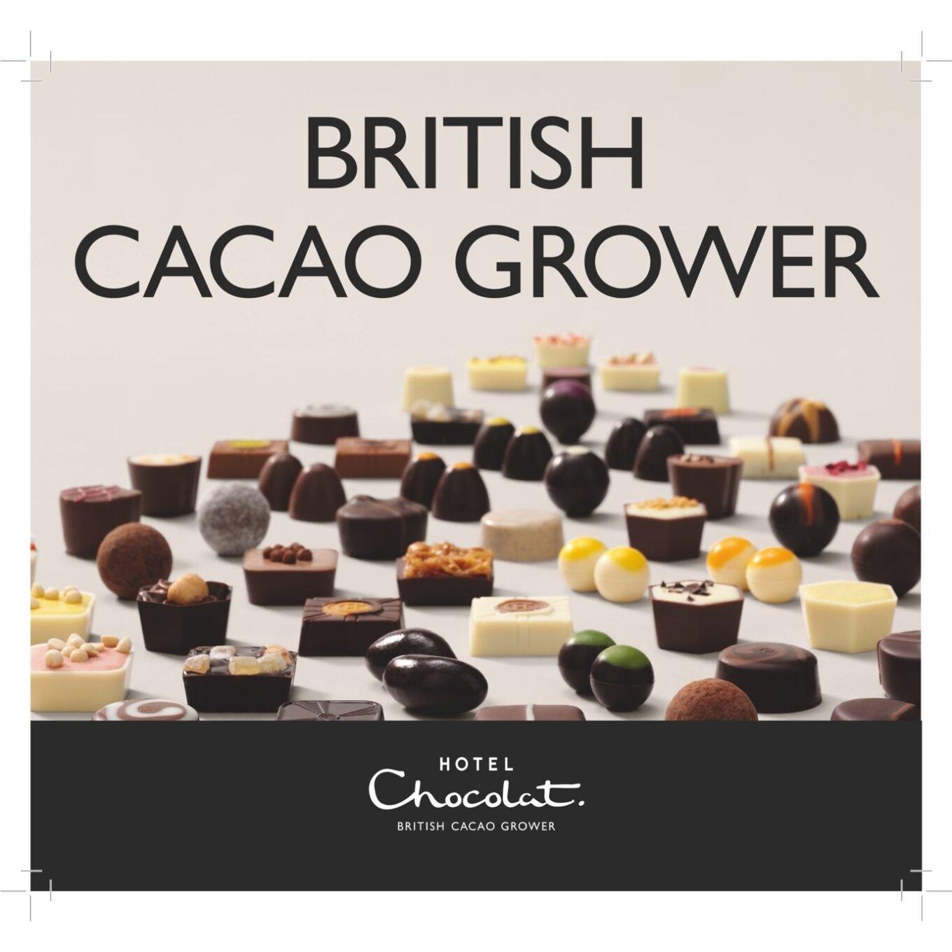 british-cacao-grower