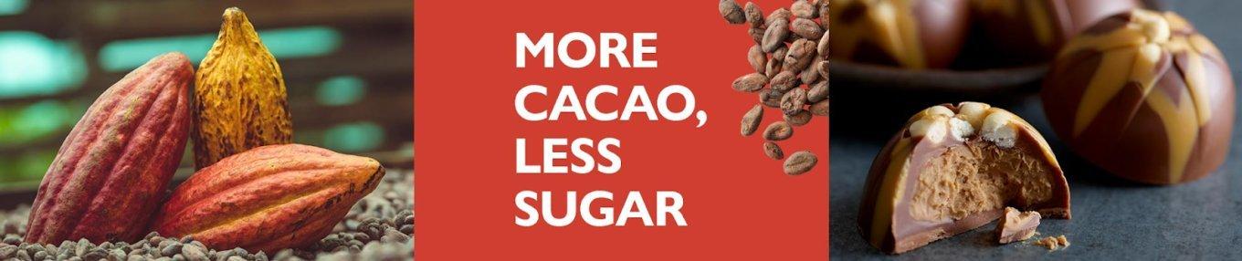cacao-bean-banner
