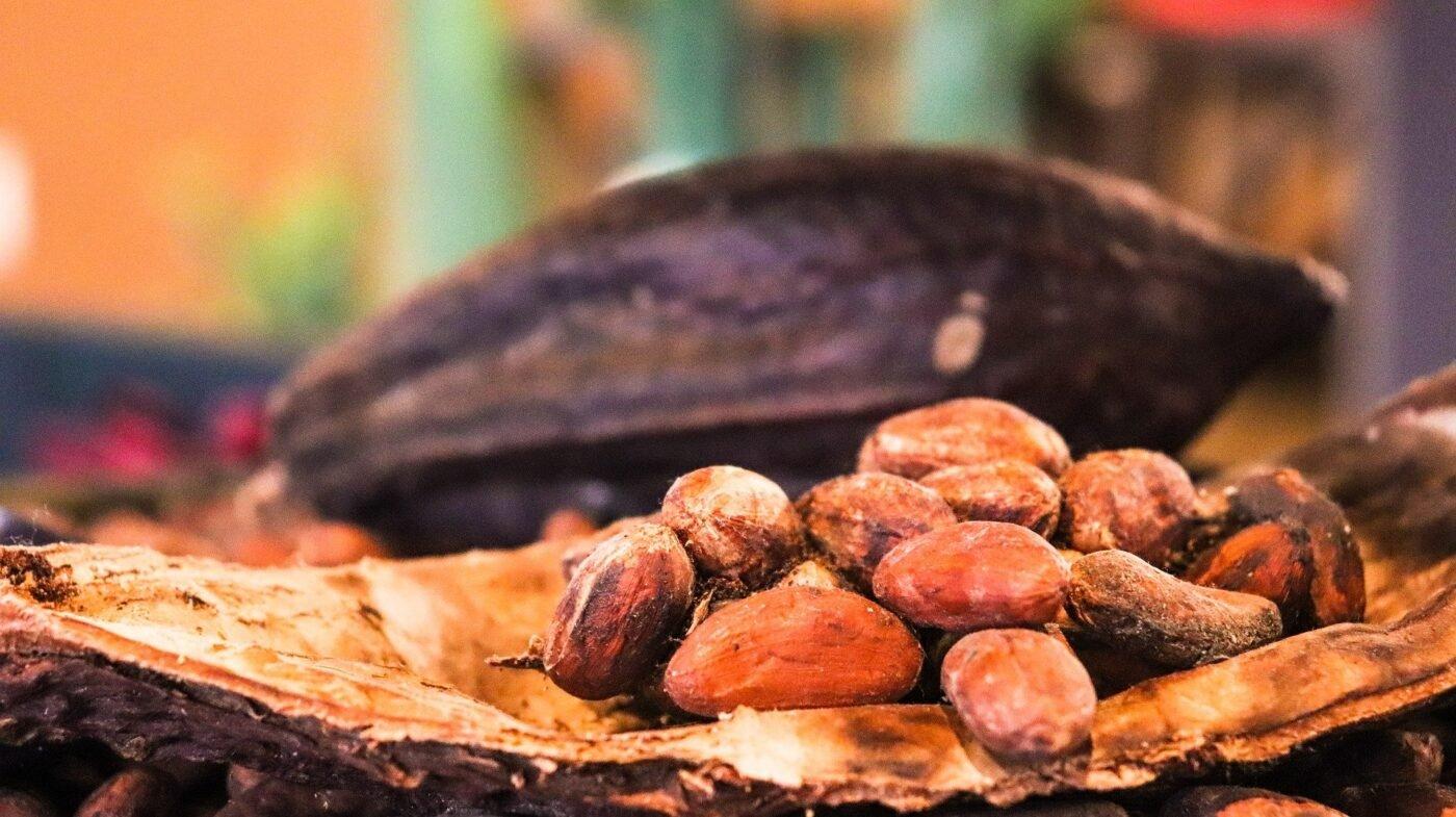 cacao-pod-and-beans