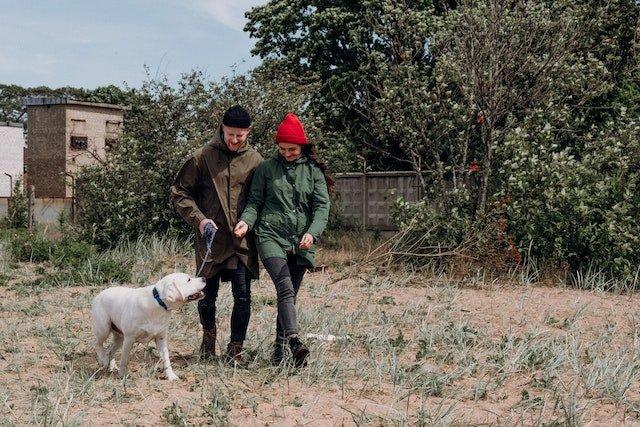 couple-walking-a-dog