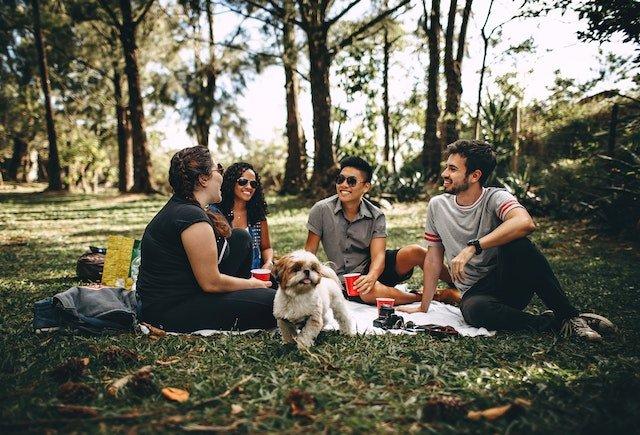 group-of-friends-enjoying-a-picnic