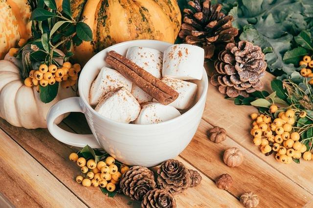 hot-chocolate-marshmallows-autumn-foliage
