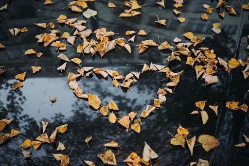 leave-heart