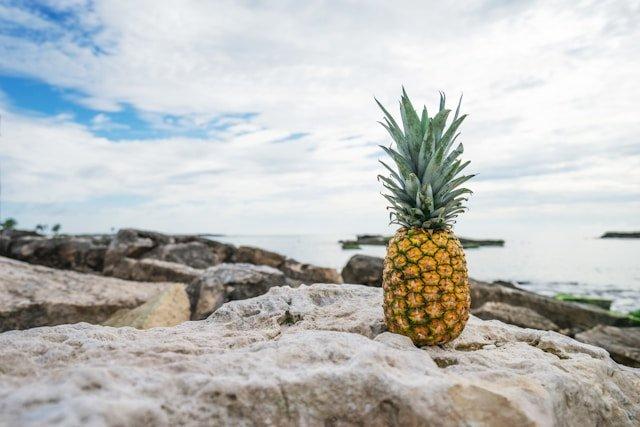 pineapple-supply-co-5p6snpUyZWY-unsplash
