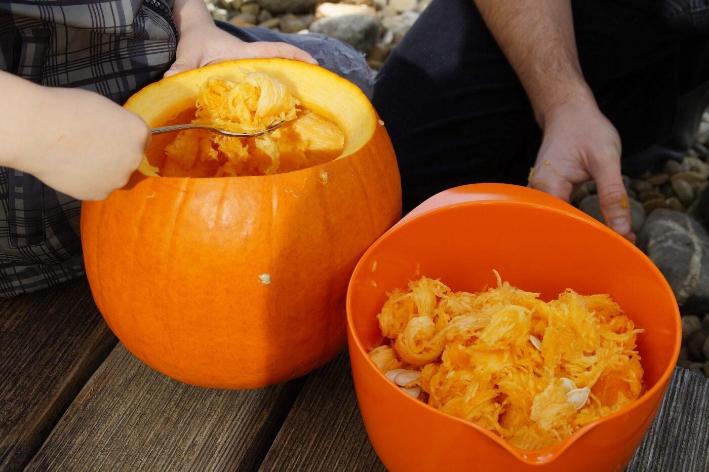 pumpkin-1004950_1920