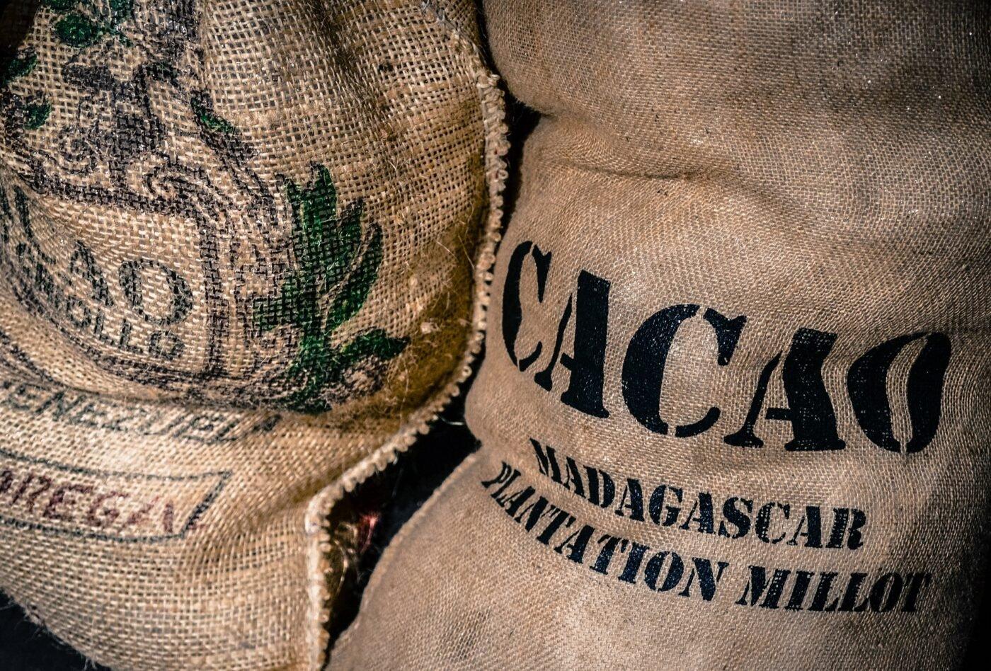 sacks-of-cacao-beans